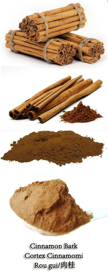 Cinnamon Bark/ Cortex Cinnamomi/ Rou gui Cinnamon Bark, Cassia Bark, Chinese Cassia Bark, Cortex Cinnamomi, Cinnamomum cassia Blume, Ramulus Cinnamomi Cassiae, Rou gui